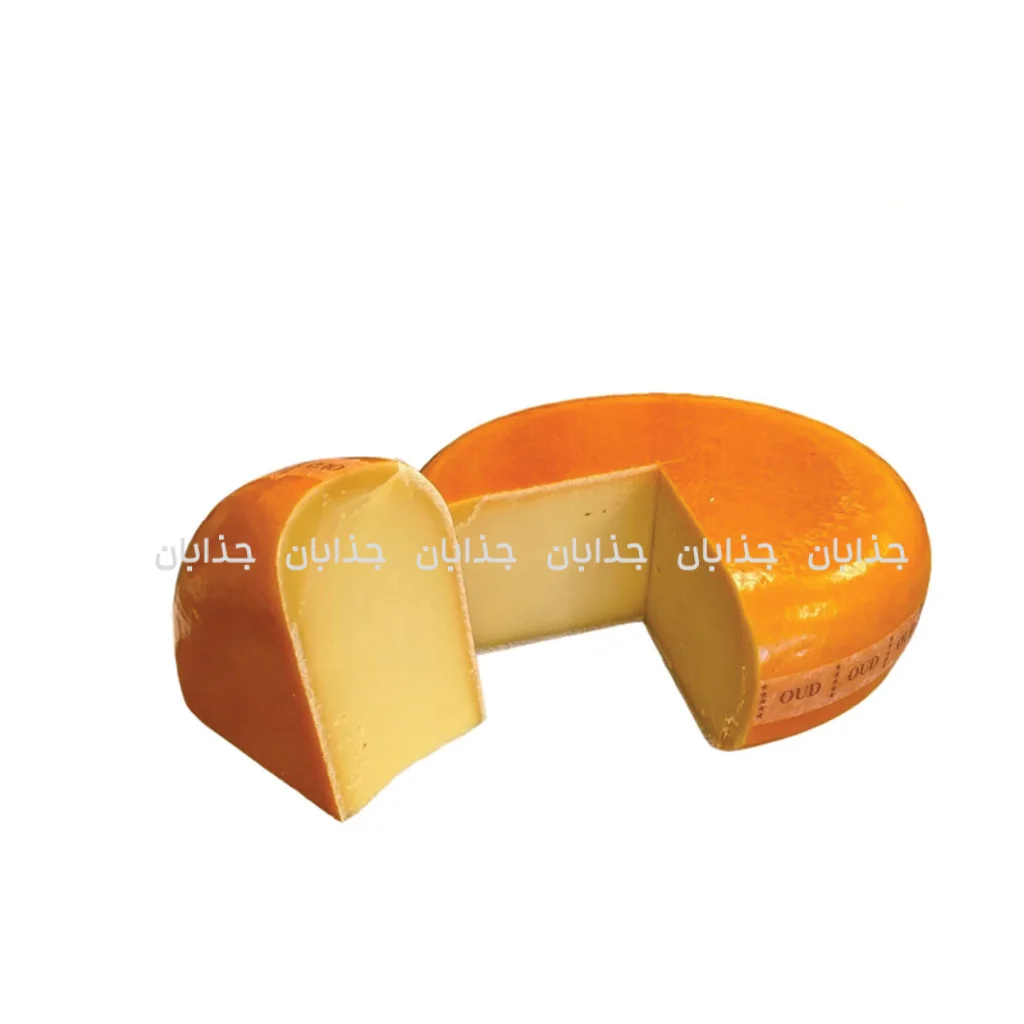 خوشمزه‌ترین پنیرهای جهان؛ سفری لذیذ به دنیای طعم‌ها 🧀