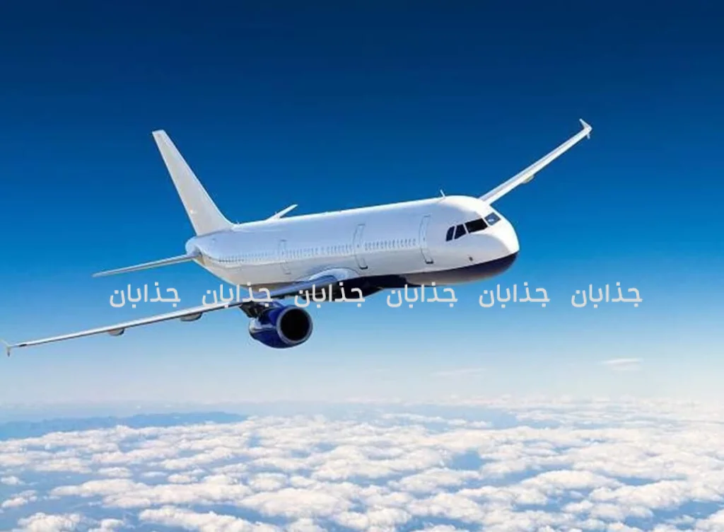 جزئیات تلخ از سقوط هواپیمای حجاج: همه مسافران جان باختند + فیلم