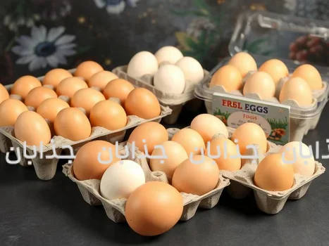 سفره‌ای زیر فشار و قیمت‌های جدید مواد خوراکی و واقعیت تورم