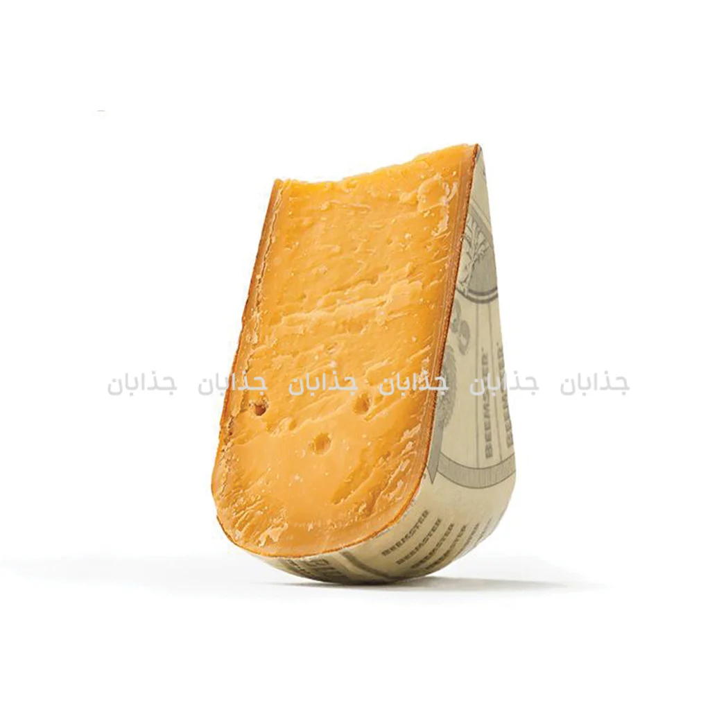 خوشمزه‌ترین پنیرهای جهان؛ سفری لذیذ به دنیای طعم‌ها 🧀